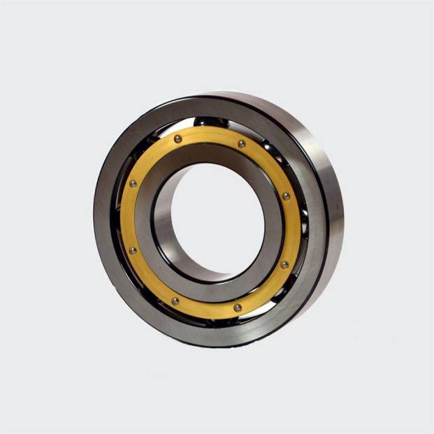  The Intorduction Of Magnetic Bearings